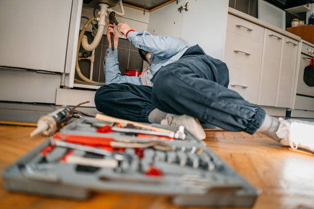 Best Plumbing Inspection Services  in Memphis, MI