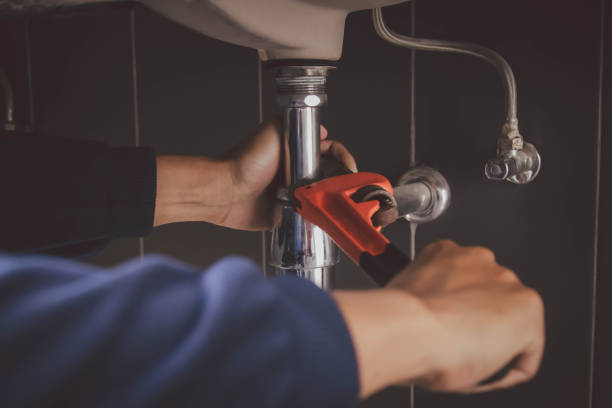 Best Commercial Plumbing Services  in Memphis, MI